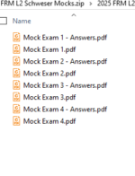 FRM 2025 Mock Exams Part 2